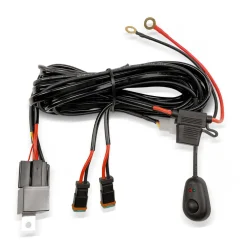 Wiring Harness with DT Connectors - 2 Leads